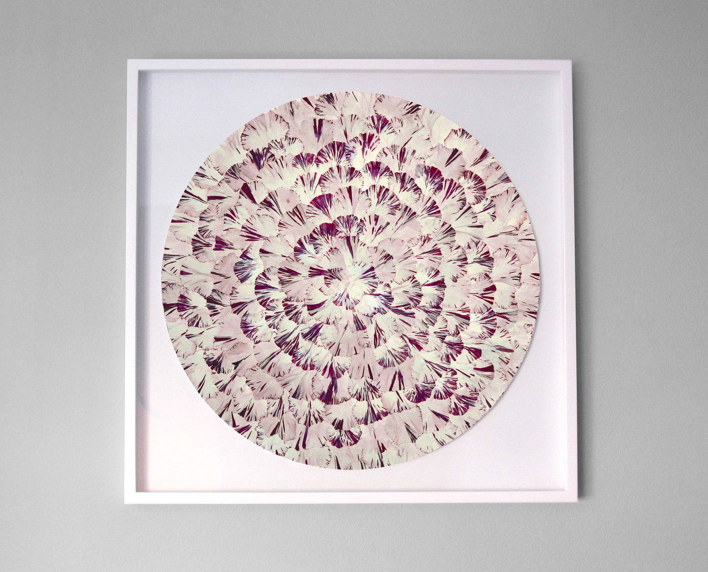 Cuadro Clavel Blanco